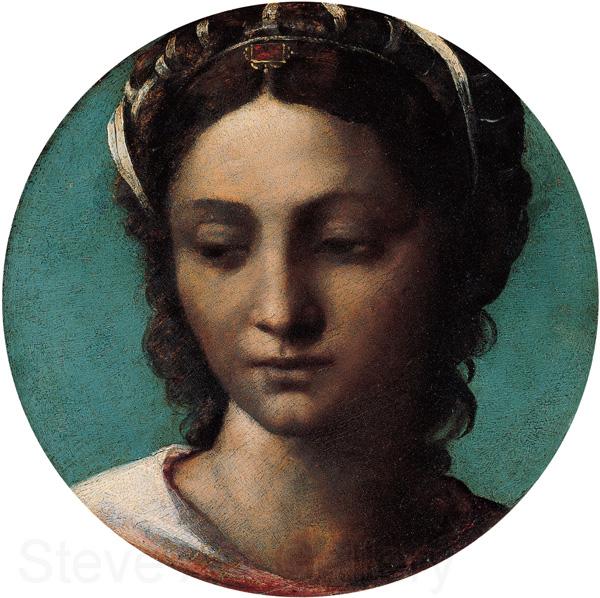 Sebastiano del Piombo Head of a Woman Norge oil painting art